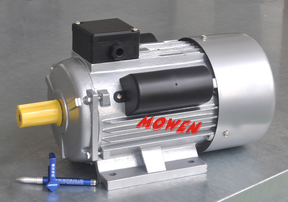 YC/YCL Motor